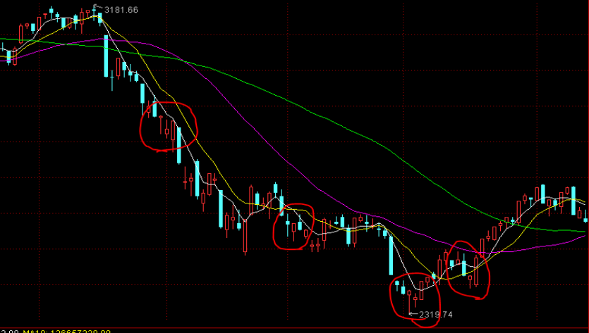 致敬白衣天使!梅州开展多种形式的医师节活动